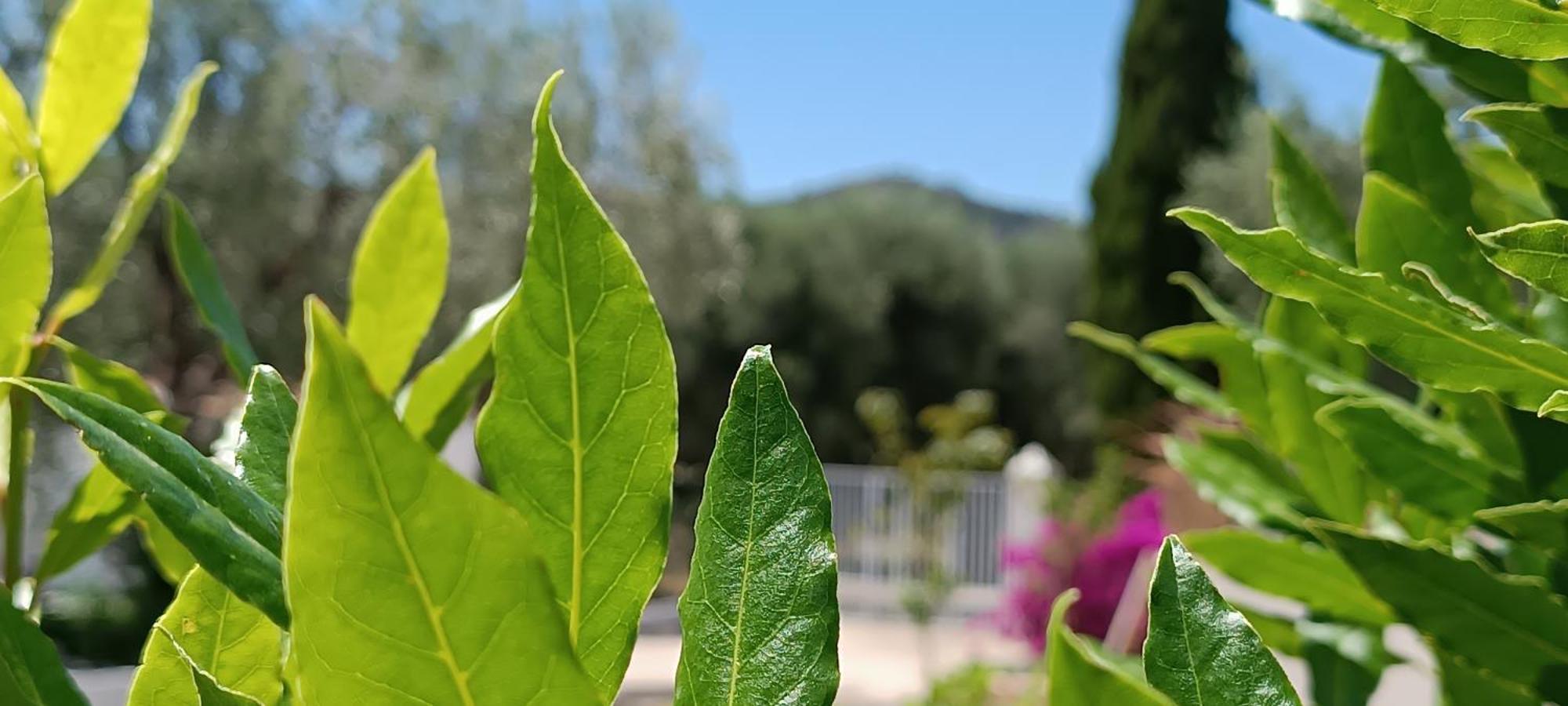 B&B Sperlonga Mattinata Exterior foto